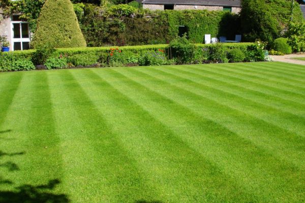 Artificial Turf Suppliers in Thousand Oaks CA